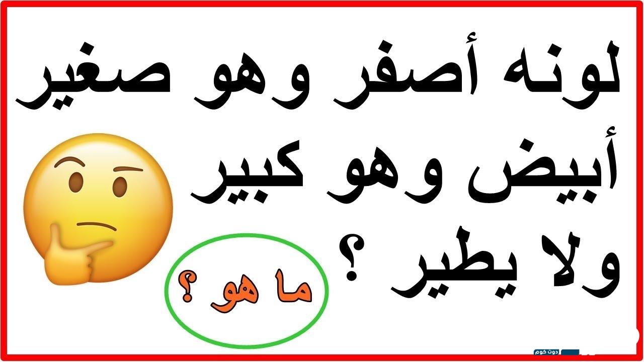 أقوى أسئلة ثقافية سهلة 2024 اسئلة ثقافية عامة للمسابقات 14 أسئلة ثقافية سهلة 2024